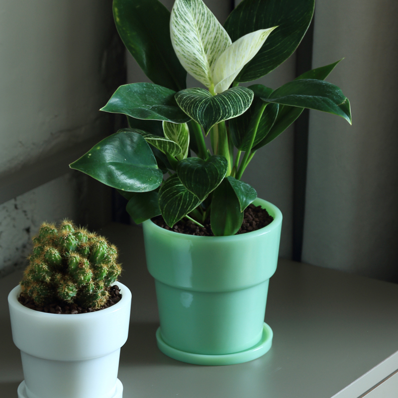 Milk Glass Planter Pot4 ideaco ミルクガラスプランターポット 植木鉢 プランター 鉢植え ガラス ホウケイ酸ガラス 鉢皿 4号鉢 ホワイト グリーン イデアコ｜yamayuu｜03