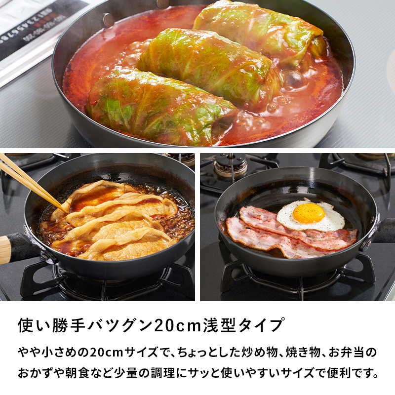 Like-it（ライクイット） 特典付 オーブンでも使える鉄フライパン 20cm