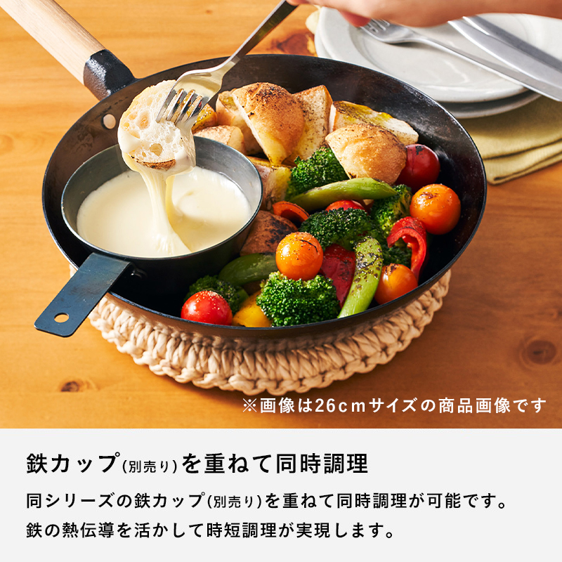 Like-it（ライクイット） 特典付 オーブンでも使える鉄フライパン 20cm