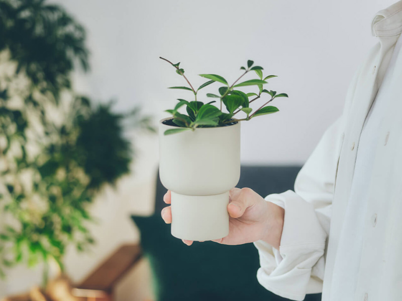 鉢・プランター mari 送料別途【マツオマリンファイバーコレクション】ハイワイドアーバン