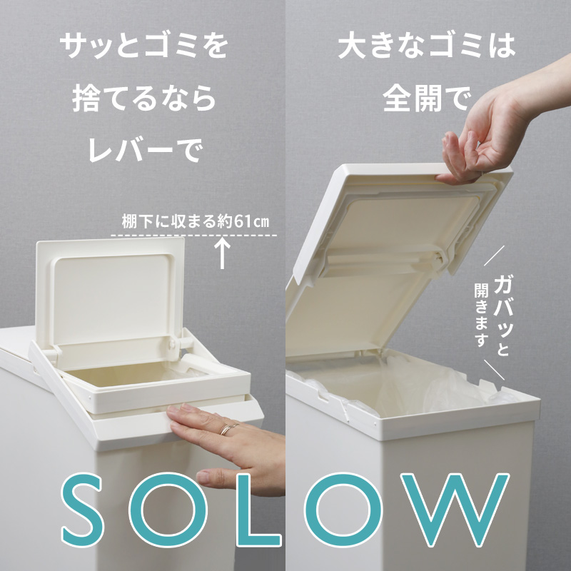 専用F×2 Amazon｜リス(RISU) ゴミ箱 ダストボックス SOLOW通路で使える