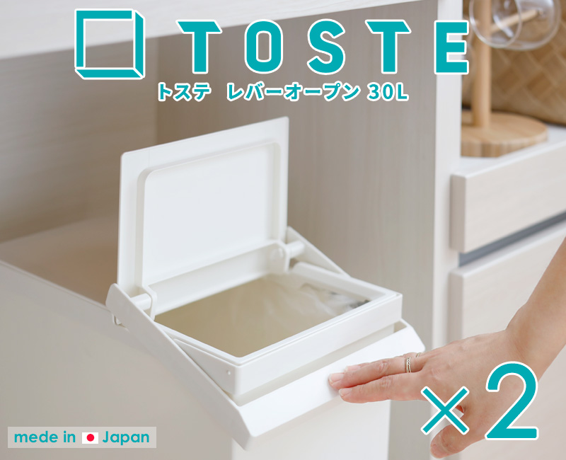 【ファンファレ】risu no Coffee 30包入り（2箱セット） risou no Coffee