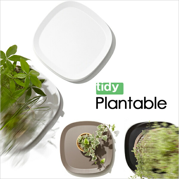 tidy ティディ Plantable (プランタブル) 鉢台 鉢植え台 鉢皿 受け皿 キャスター付き 台車 ブラック ブラウン ホワイト｜yamayuu｜02