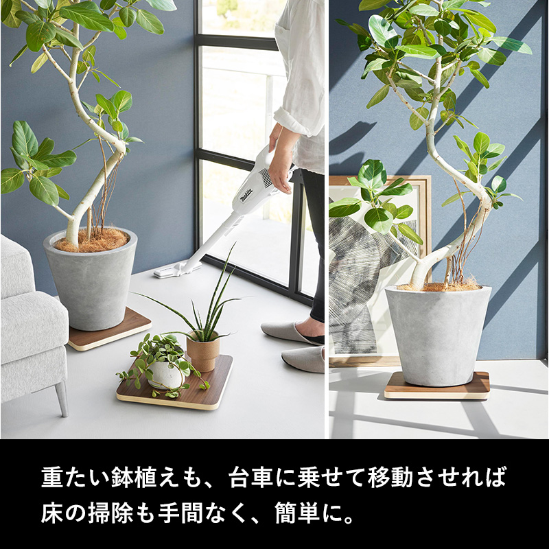 RIN（山崎実業） 山崎実業 RIN インテリア低台車 リン ラウンド