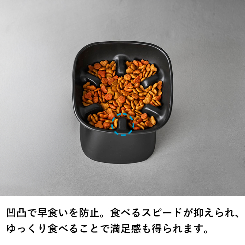 山崎実業 特典付 早食い防止陶器ペットフードボウル ヌークス 斜め H11