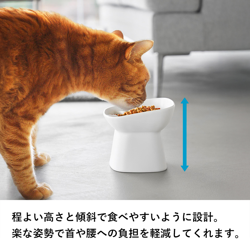 山崎実業 特典付 早食い防止陶器ペットフードボウル ヌークス 斜め H11