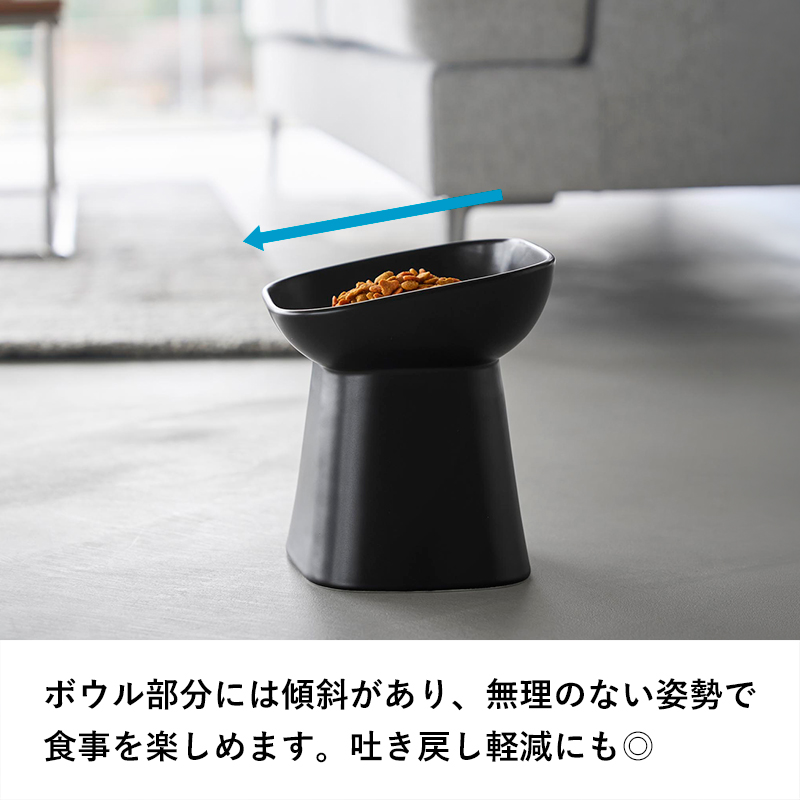 山崎実業 特典付 食べやすい高さ陶器ペットフードボウル ヌークス 斜め