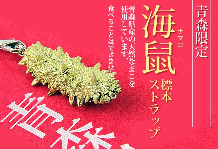 青森限定 標本ストラップ：海鼠(ナマコ)の説明 - 通販 - Yahoo