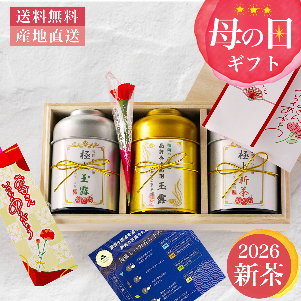 母の日 ギフト 贈り物 新茶 八女茶 お茶 玉露 煎茶 健康 緑茶 茶葉 高級 カーネーション付 送料無料 HG-130 八女茶の里