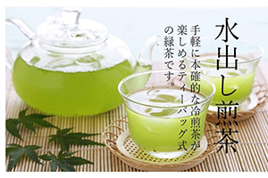 水出し 緑茶 ティーバッグ お茶 八女茶 煎茶 5g×16P 急須用 TEM-10 