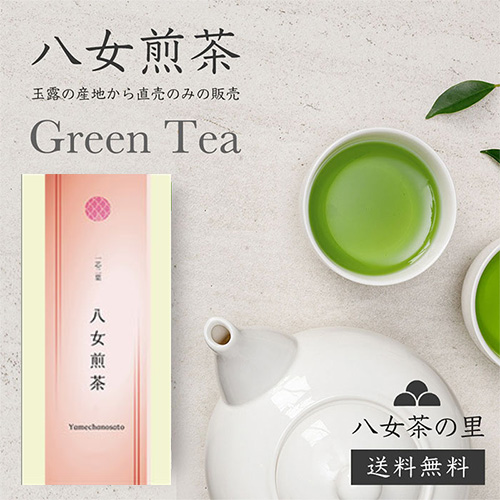 Yahoo! Yahoo!ショッピング(ヤフー ショッピング)2025年度 新茶 八女茶 お茶 緑茶 煎茶 茶葉100g SS-12 八女茶の里