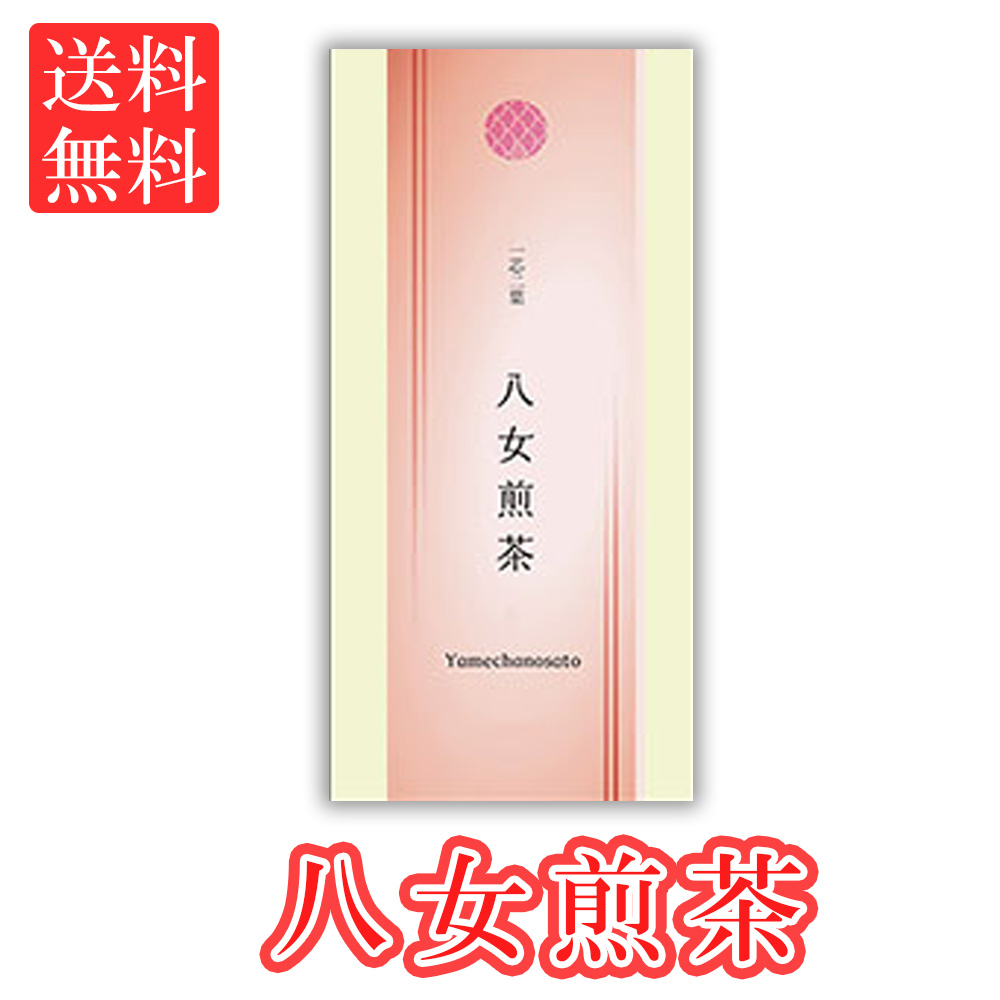 水出し 緑茶 ティーバッグ お茶 八女茶 煎茶 5g×16P 急須用 TEM-10