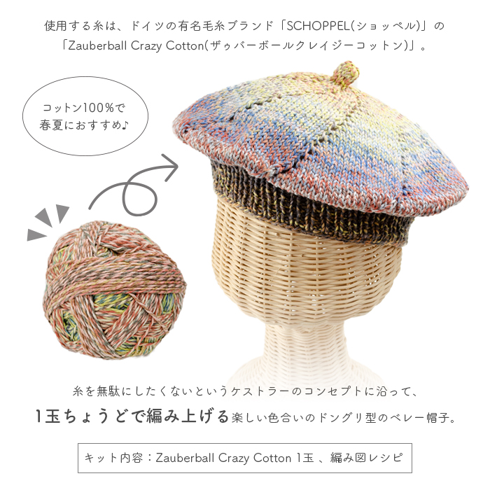 編み物 キット 毛糸 編み図 / SCHOPPEL(ショッペル) Zauberball Crazy