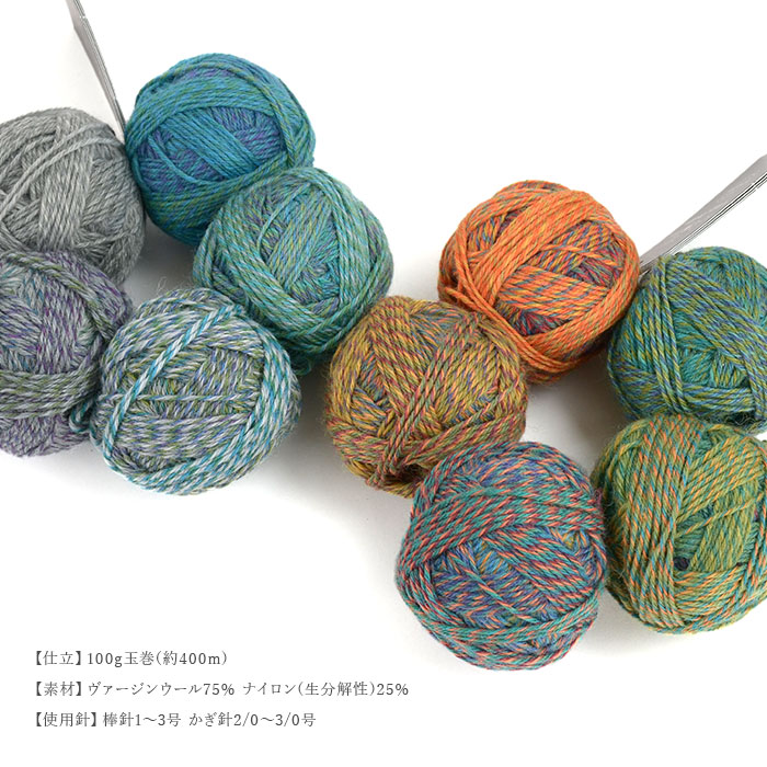 SCHOPPEL（ショッペル） 毛糸 輸入 グラデーション ソックヤーン Crazy