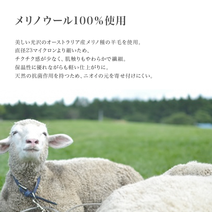 毛糸 恋する毛糸 合太 メリノ ウール 編み物