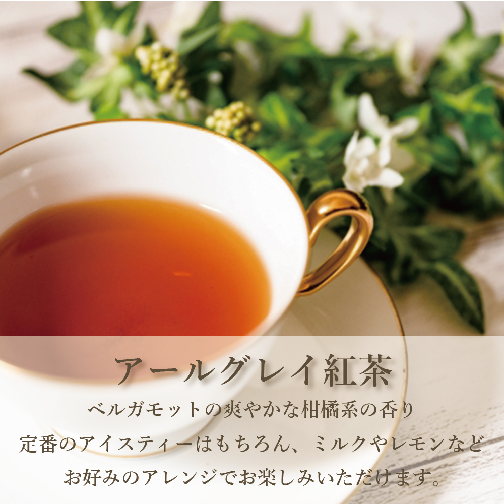 パウティー アールグレイ 紅茶 無糖 250g 業務用 インスタントティー 粉末 粉茶 パウダー ポーション お茶 おちゃ POWTEA ギフト 贈り物  :d-TE-11:柳屋茶楽 - 通販 - Yahoo!ショッピング