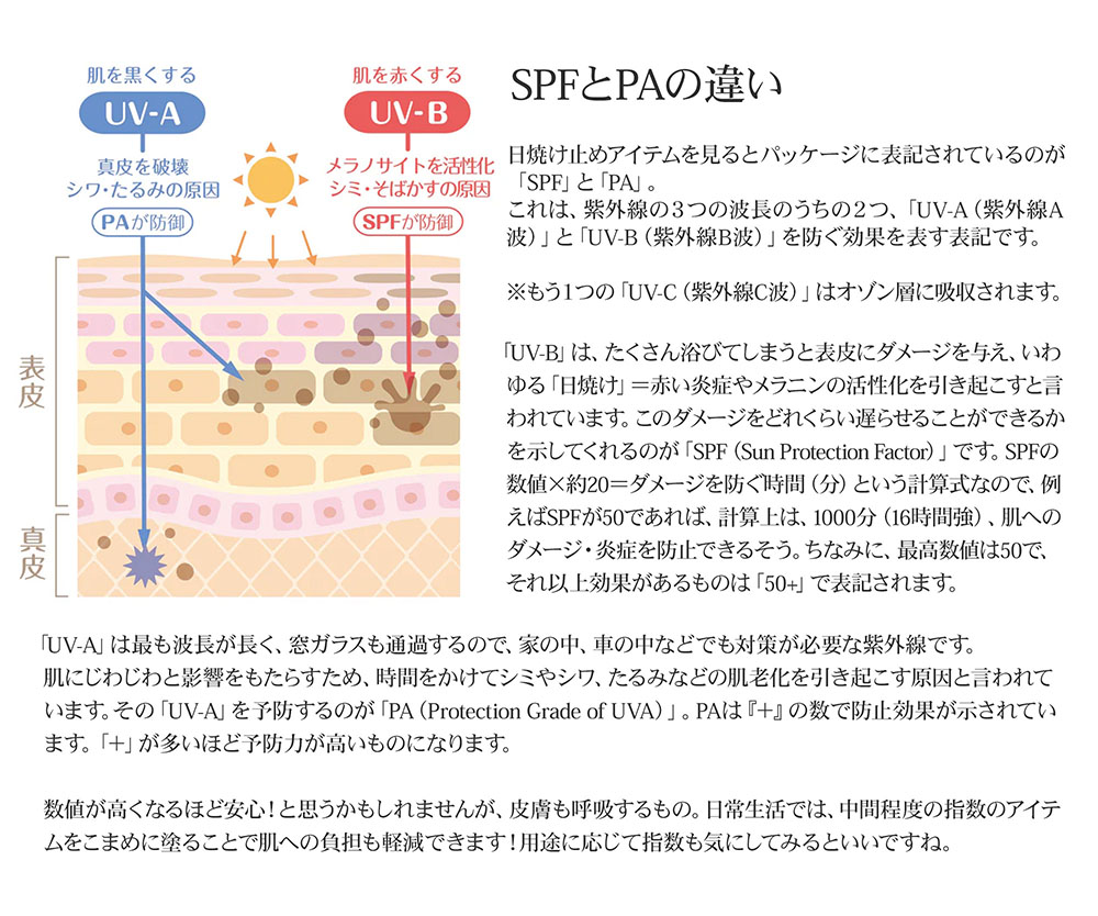 Le Tan サンスクリーンローション SPF50＋ PA++++ 日焼け止め UVクリーム 日焼け止めクリーム 125ml ココナッツ バイナップル  ウォーターメロン スイカ マンゴー