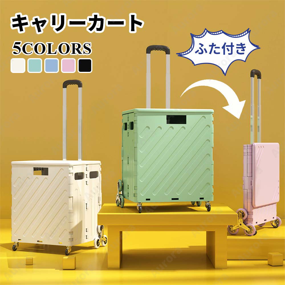 slc001.jpg