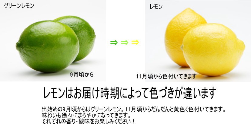 和歌山　レモン　訳あり　30kg　混合 楽天市場】大容量（レモン｜フルーツ・果物）：食品の通販