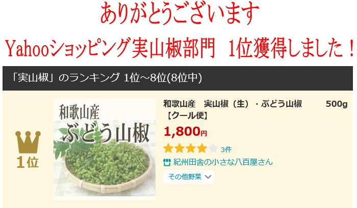 山椒の実（生）500g 和歌山産 実山椒 ぶどう山椒/朝倉山椒