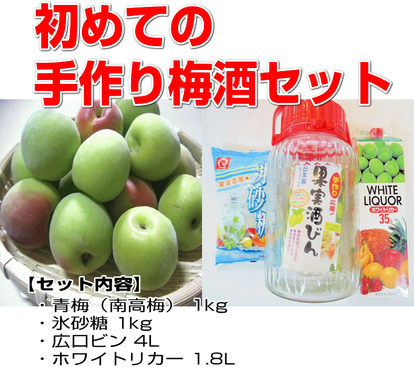 手作り梅酒セット（南高梅1kg・氷砂糖・ホワイトリカー・ビンー