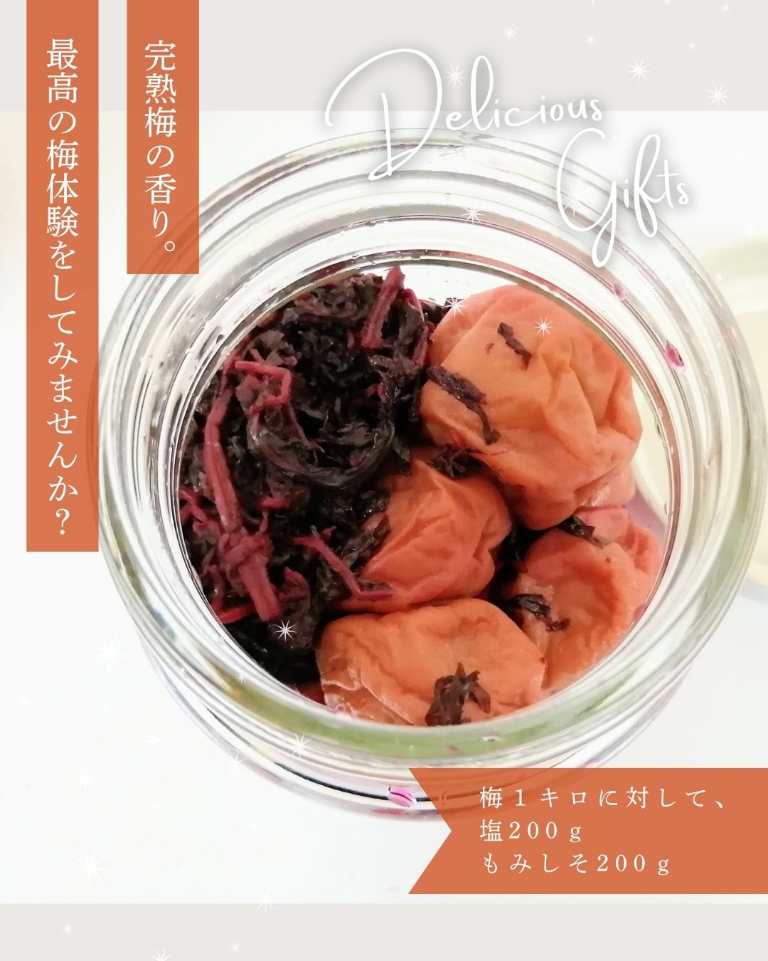 福井県産 青梅 紅映 5kg 大粒 福井県産紅映梅 約5kg 梅干用 クール便 予約販売受付 6月下旬頃発送