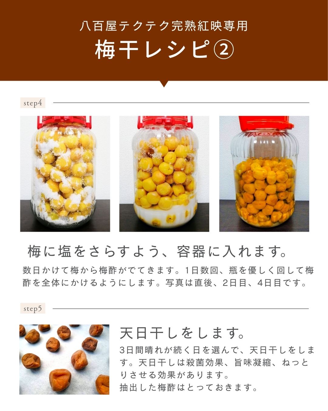 福井県産紅映梅 約5kg 梅干用 クール便 予約販売受付 6月下旬頃発送