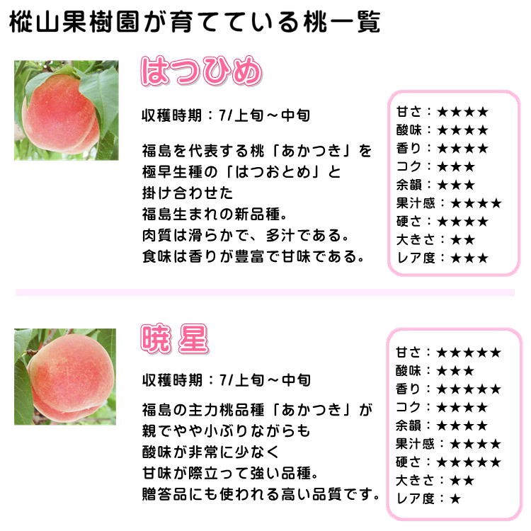 福島県 桃 約5kg(15〜20玉入り) 特秀品 はつひめ 暁星 あかつき まどか