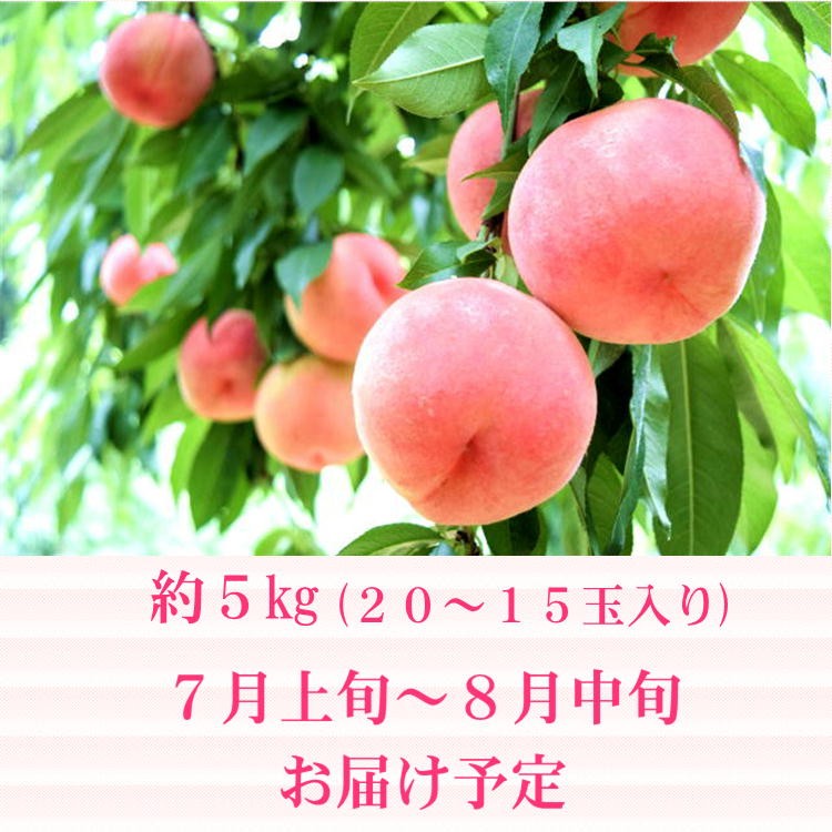福島県 桃 約5kg(15〜20玉入り) 特秀品 はつひめ 暁星 あかつき