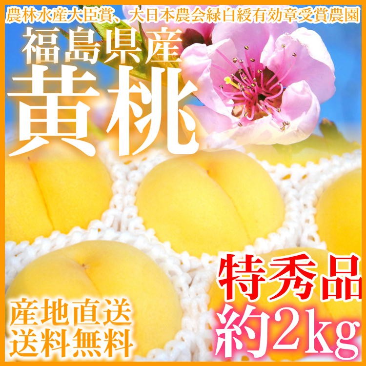 福島県 黄桃 約2kg(6〜8玉入り) 黄貴妃(おうきひ) 黄(き)ららの