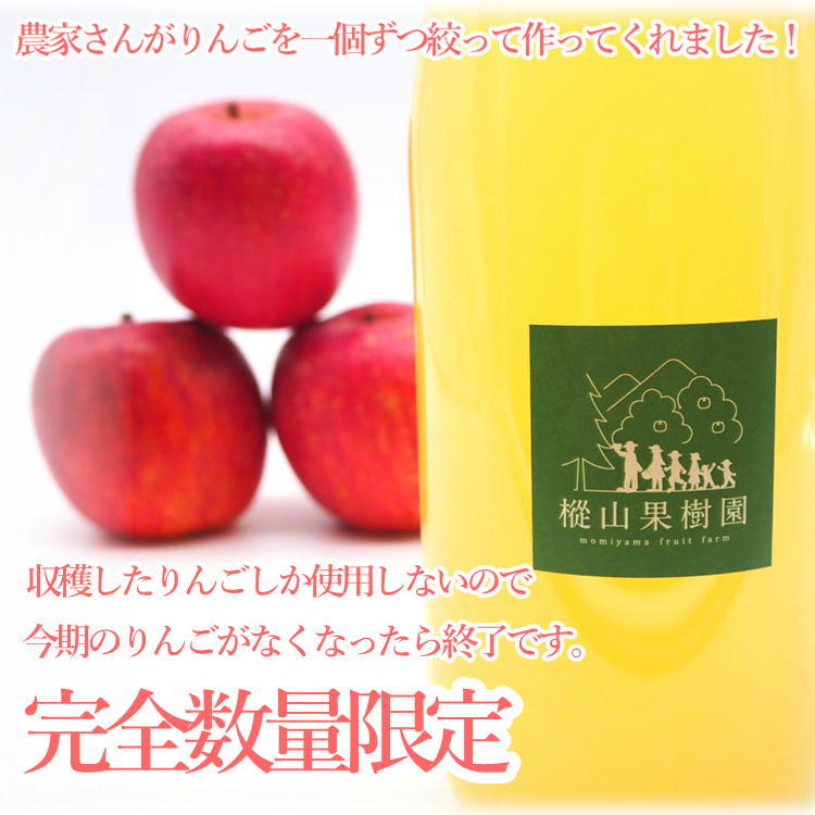 福島県産 サンふじ りんご 100％ 果汁 ジュース 2本(1000ml×2) 生絞り
