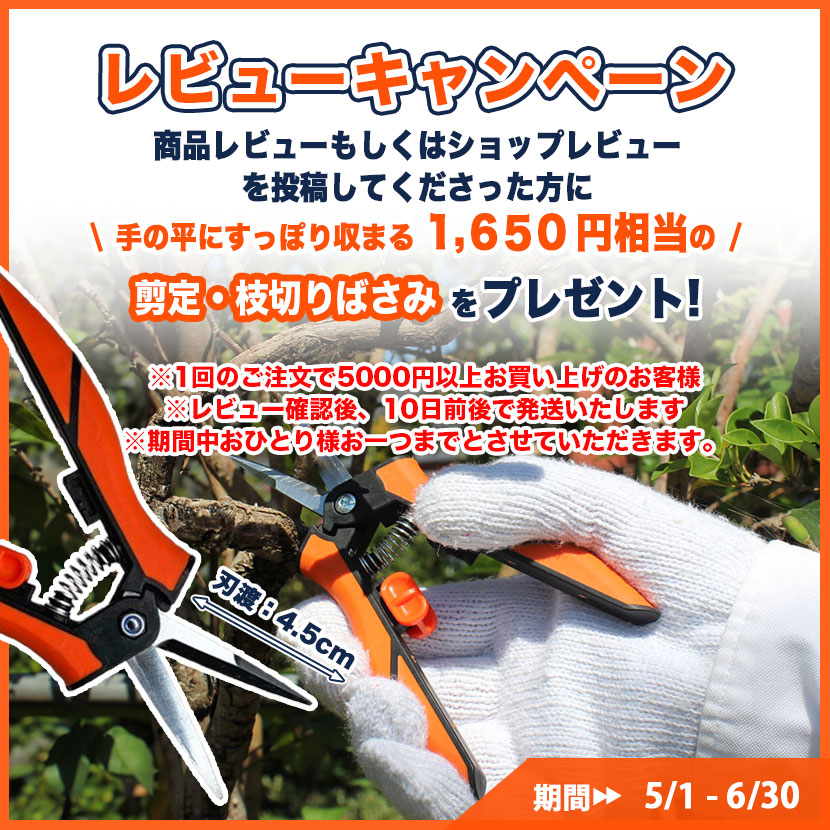 YARD FORCE 高枝切り電動チェーンソー コードレス 充電式「24V YARD FORCE 高枝切り電動チェーンソー コードレス 充電式「24V