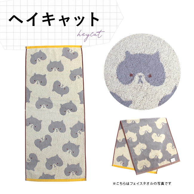 gupef-03.jpg