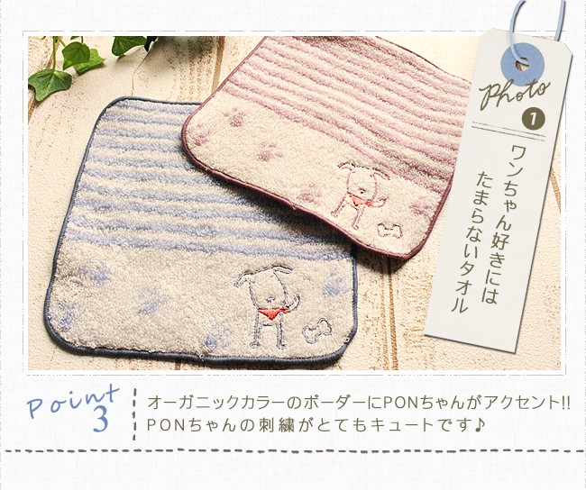 今治タオル ミニ ハンカチ 子供 15cm ギフト プレゼント
