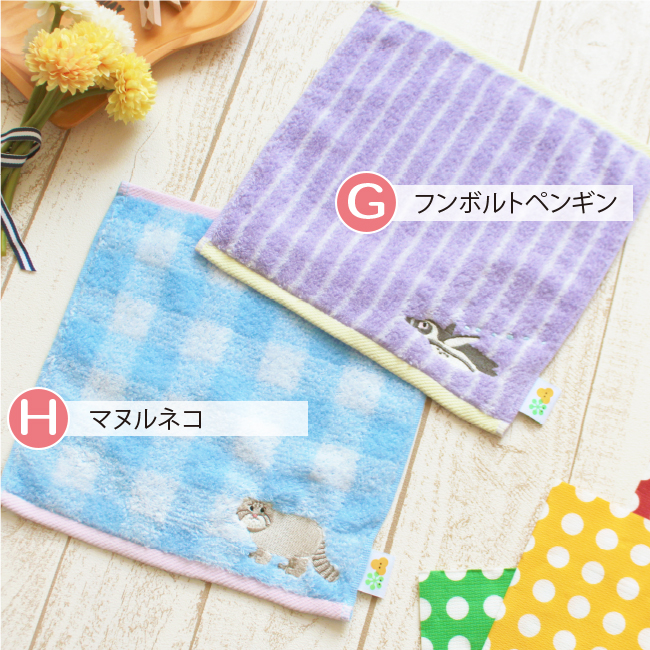 ハンドタオル 保育園 幼稚園 3枚セット まとめ買い タオルハンカチ