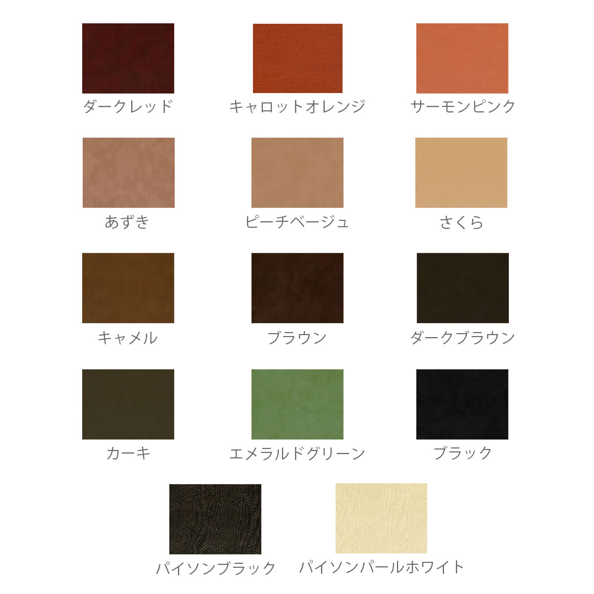 カラー画像