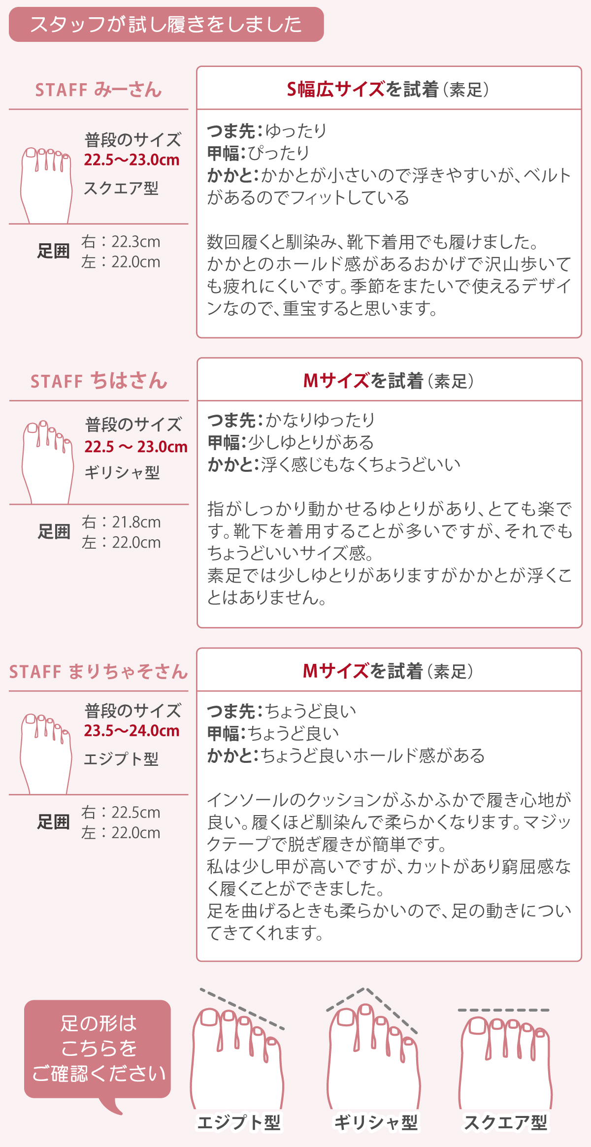 スタッフコメント