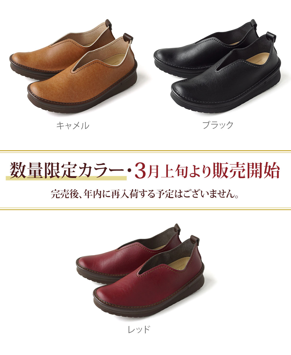 カラー画像