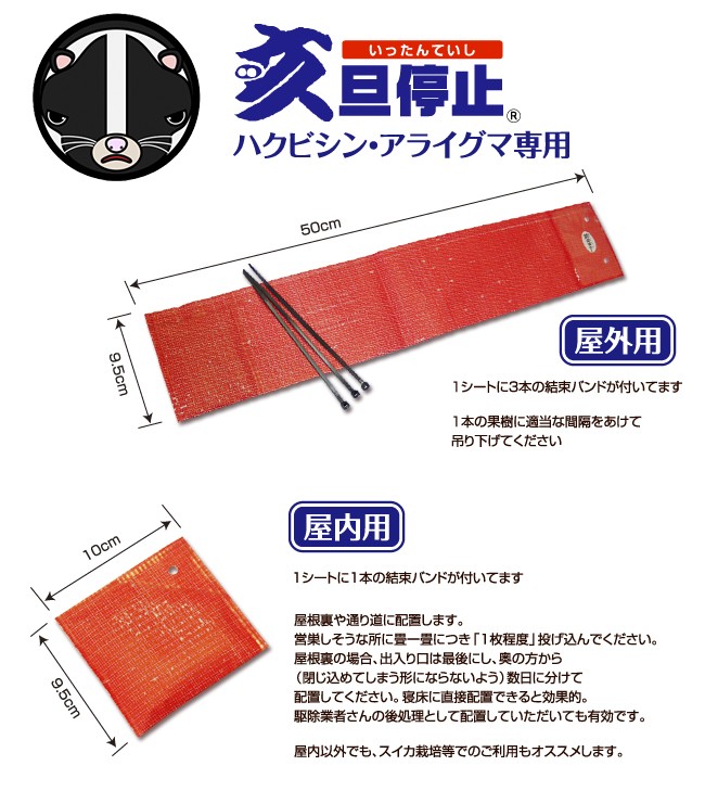 ハクビシン　剥製（テン？） Kawasaki ZXR 750 H1 Install New Pistons & Cylinder | Kolben