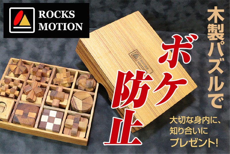 ロックスモーション ウッドパズルセット（12個セット）木製 立体