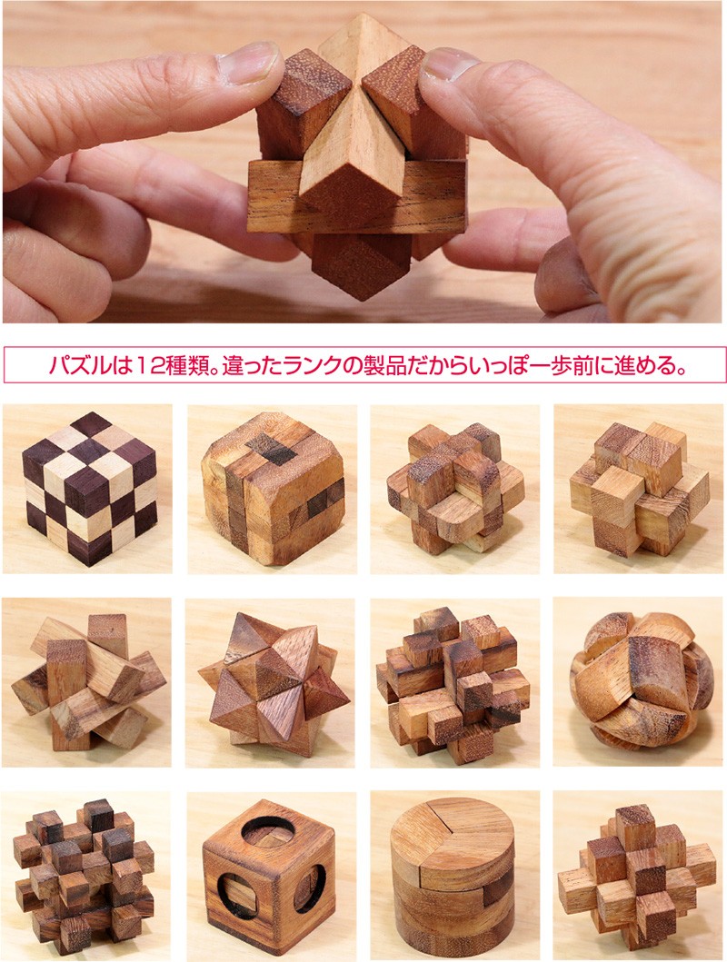 ロックスモーション ウッドパズルセット（12個セット）木製 立体パズル 
