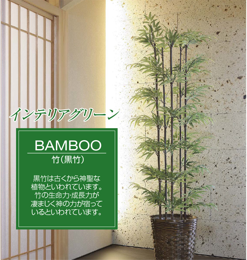 独特の素材 T 1 5m 鉢無 黒竹5本立 Gd 14s タカショー 住宅設備 Salemart Org