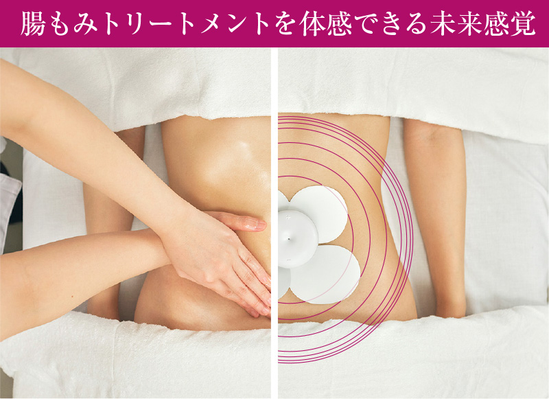 在庫処分特価】 chomomi チョモミ 家庭用 腸もみ 腸 揉む 押す