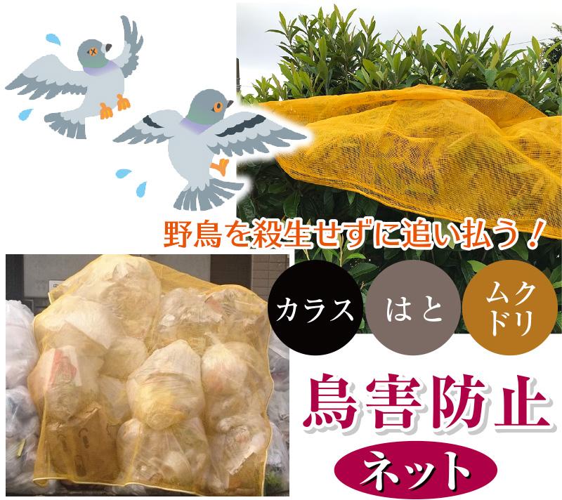 鳥さん避けテク　ネット