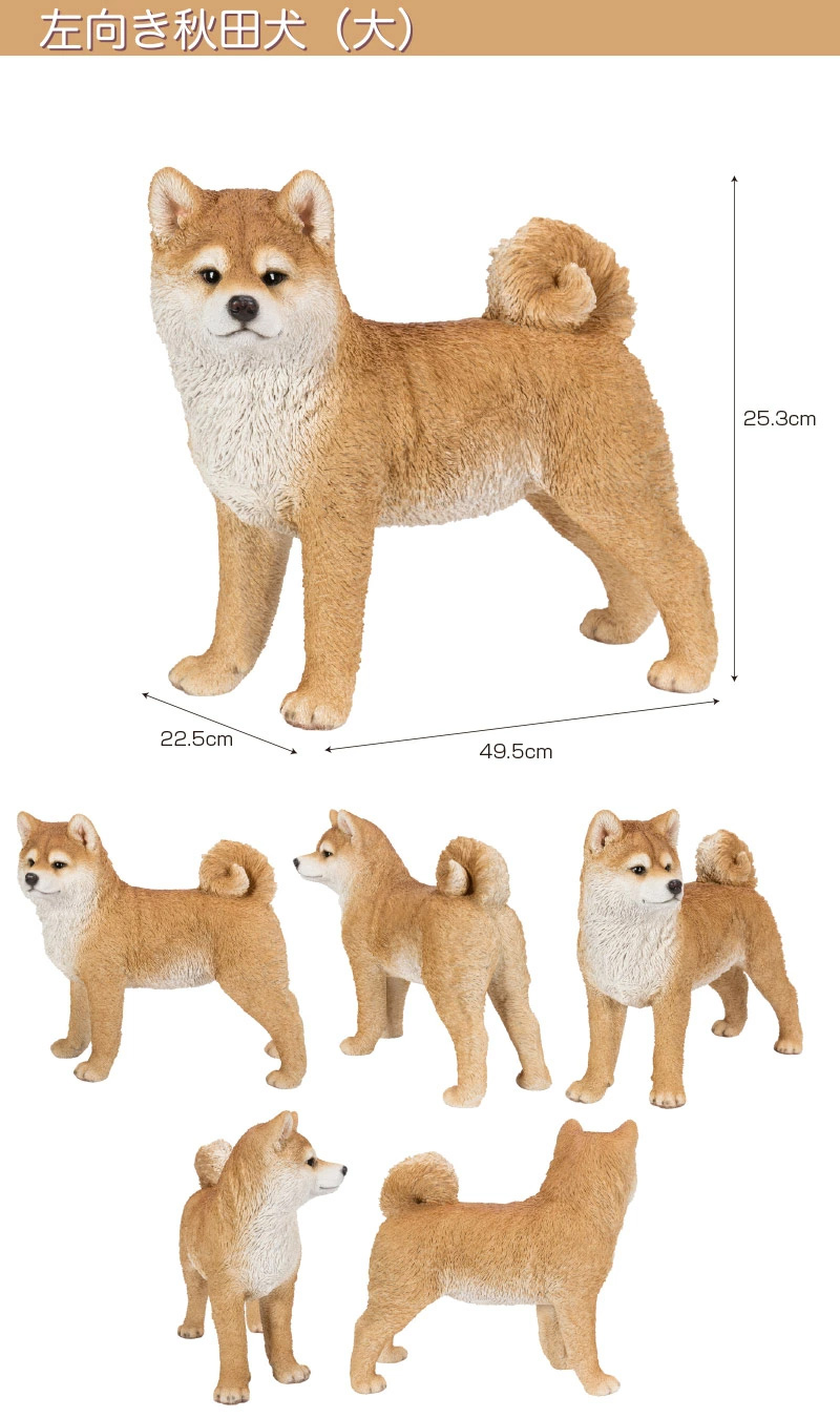 左向き 秋田犬 （大） 49.5 x 22.5 45.3 cm (幅x奥x高) 本物そっくり