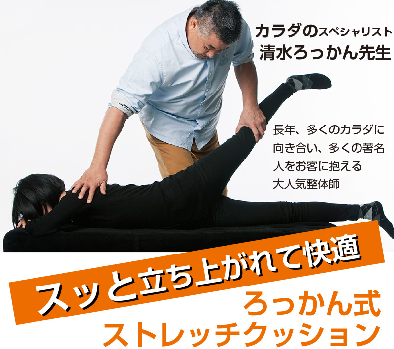 ろっかん式ストレッチクッション ろっかん式ストレッチクッション｜テレ東マート
