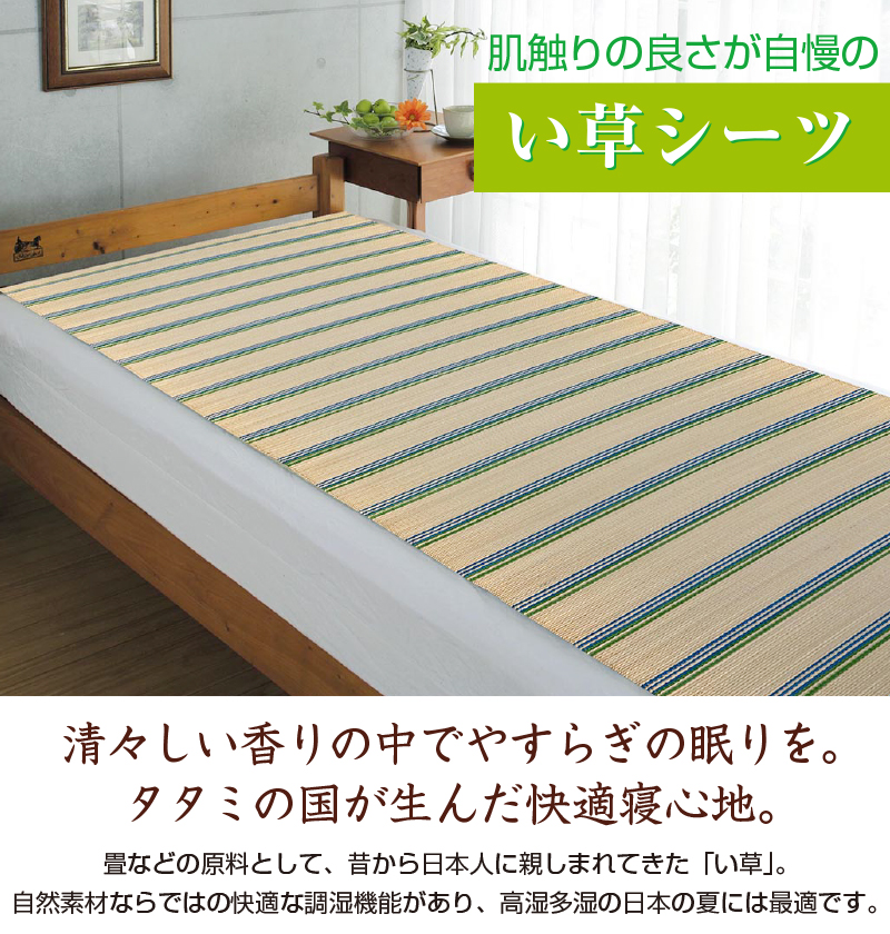 掛川織い草シーツ（松風）