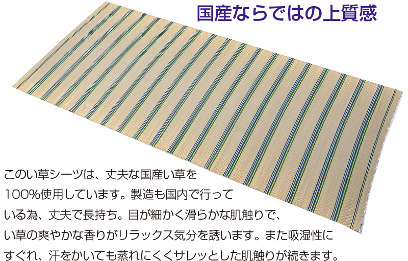掛川織い草シーツ（松風）
