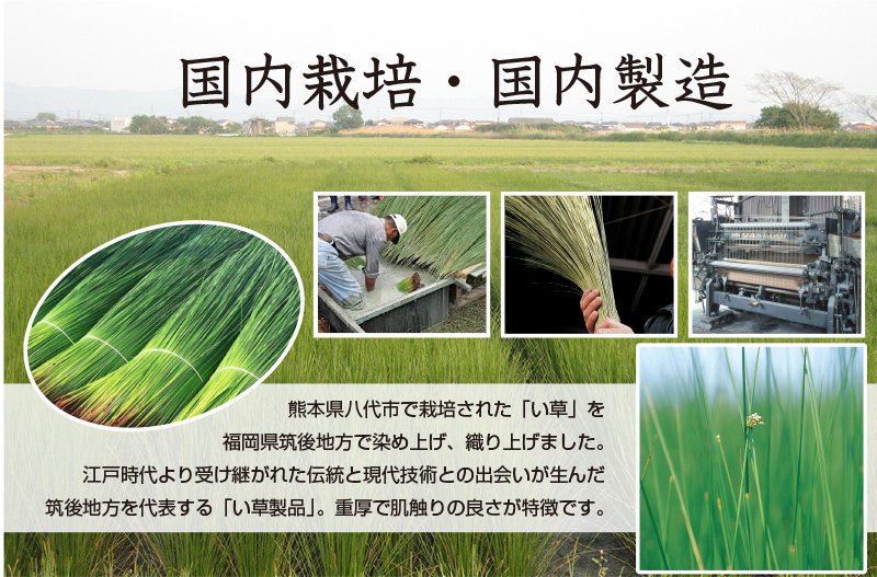 掛川織い草シーツ（松風）