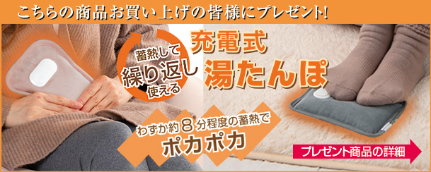 ゼンケン ホットカーペット 電磁波カット 2畳 本体のみ ZENKEN ホット